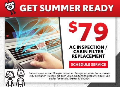 AC Inspection/Cabin Filter Replacement